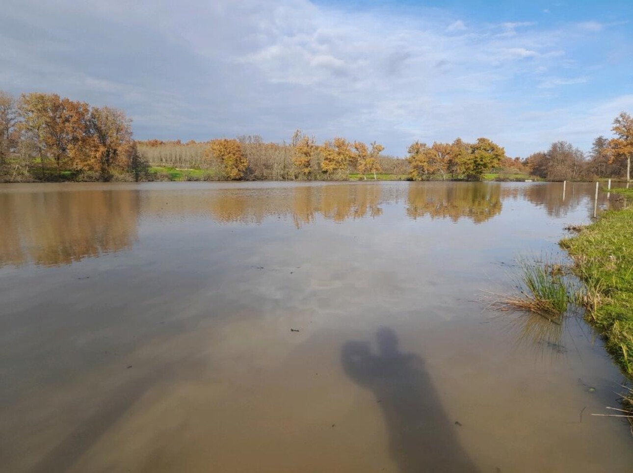 Photos 4 - Land - ALLIER