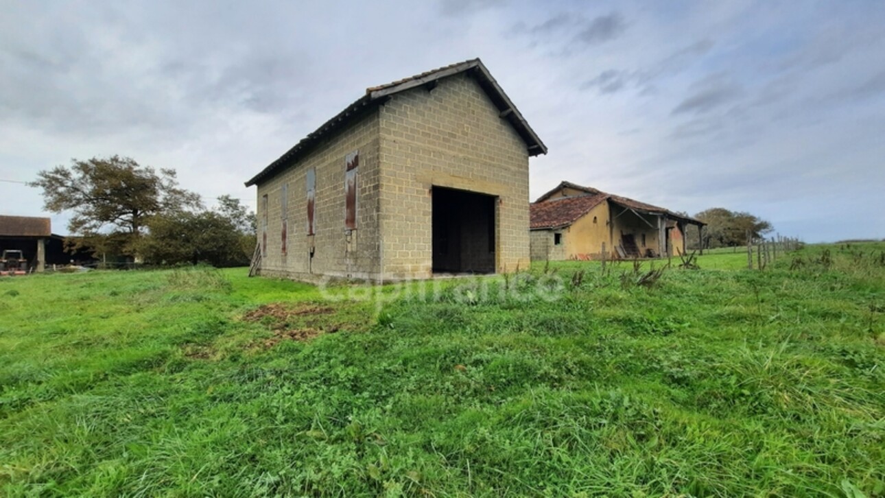 Photos 3 - Touristique - maison principale 6 pièces - dépendances et granges proche GARLIN 40320