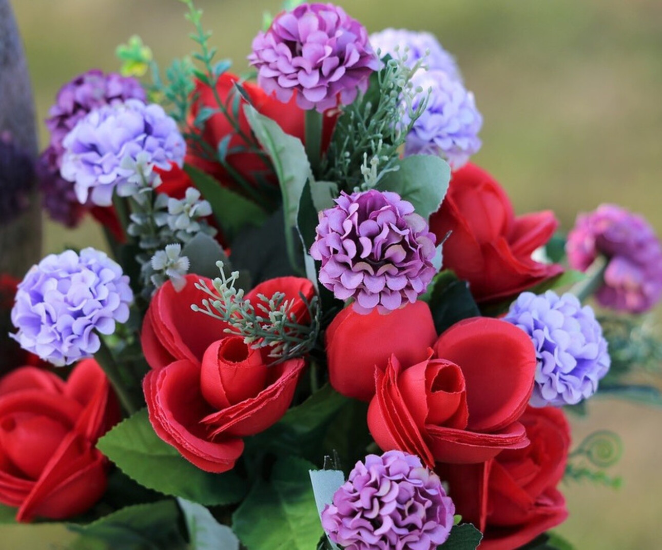 Photos 2 - Agricole - BASTIA : vente FDC GROSSISTE FLEURS ET PLANTES