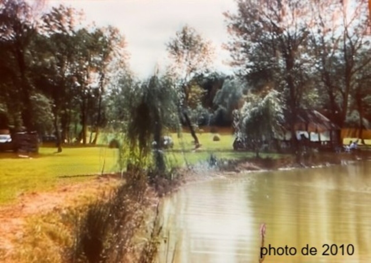 Photos 2 - Foncière - Terrain de loisir + bois  à vendre  SAINT DOULCHARD (18)