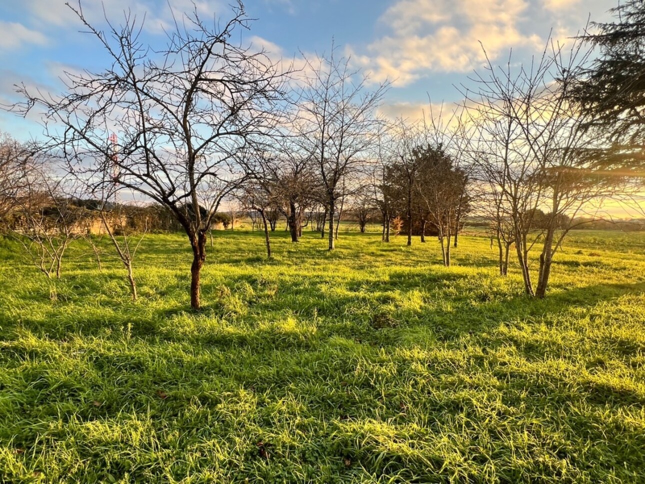 Photos 2 - Touristique - Grange à rénover Châtellerault