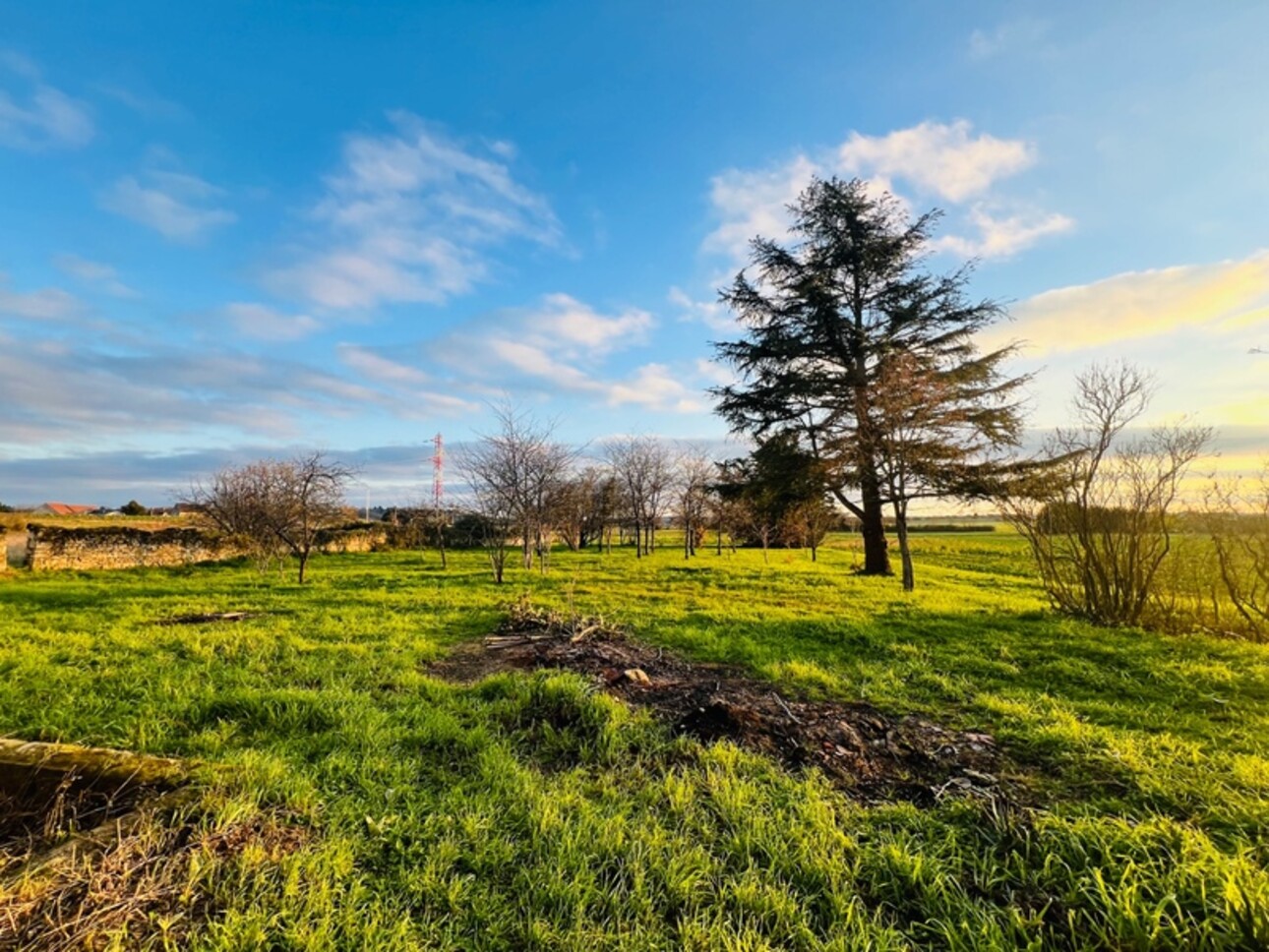 Photos 8 - Touristique - Grange à rénover Châtellerault