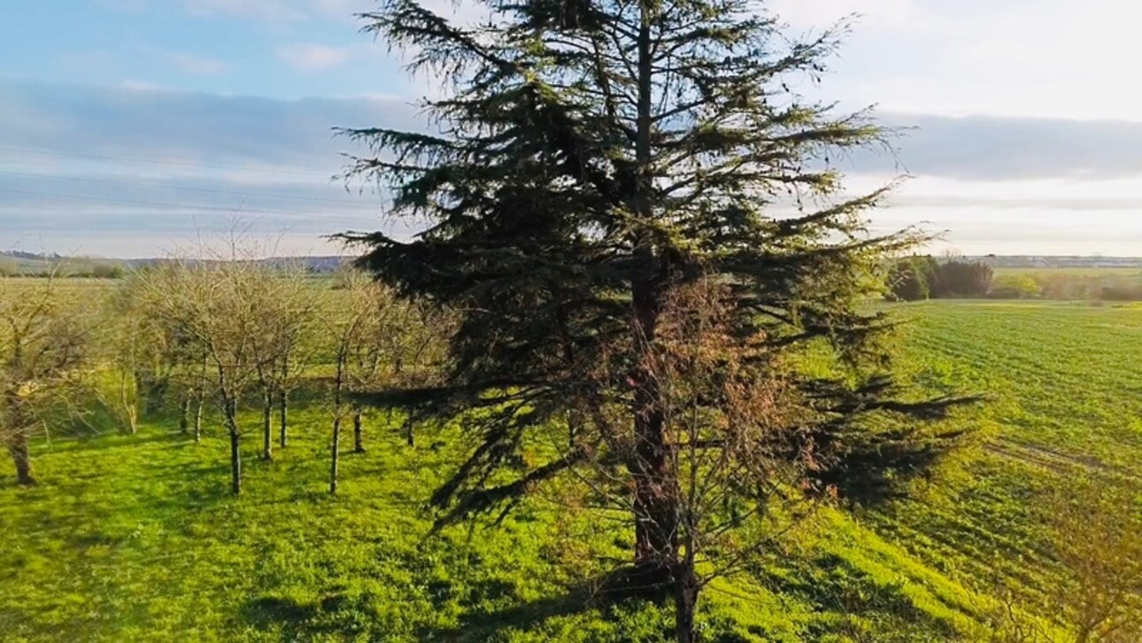 Photos 10 - Touristique - Grange à rénover Châtellerault