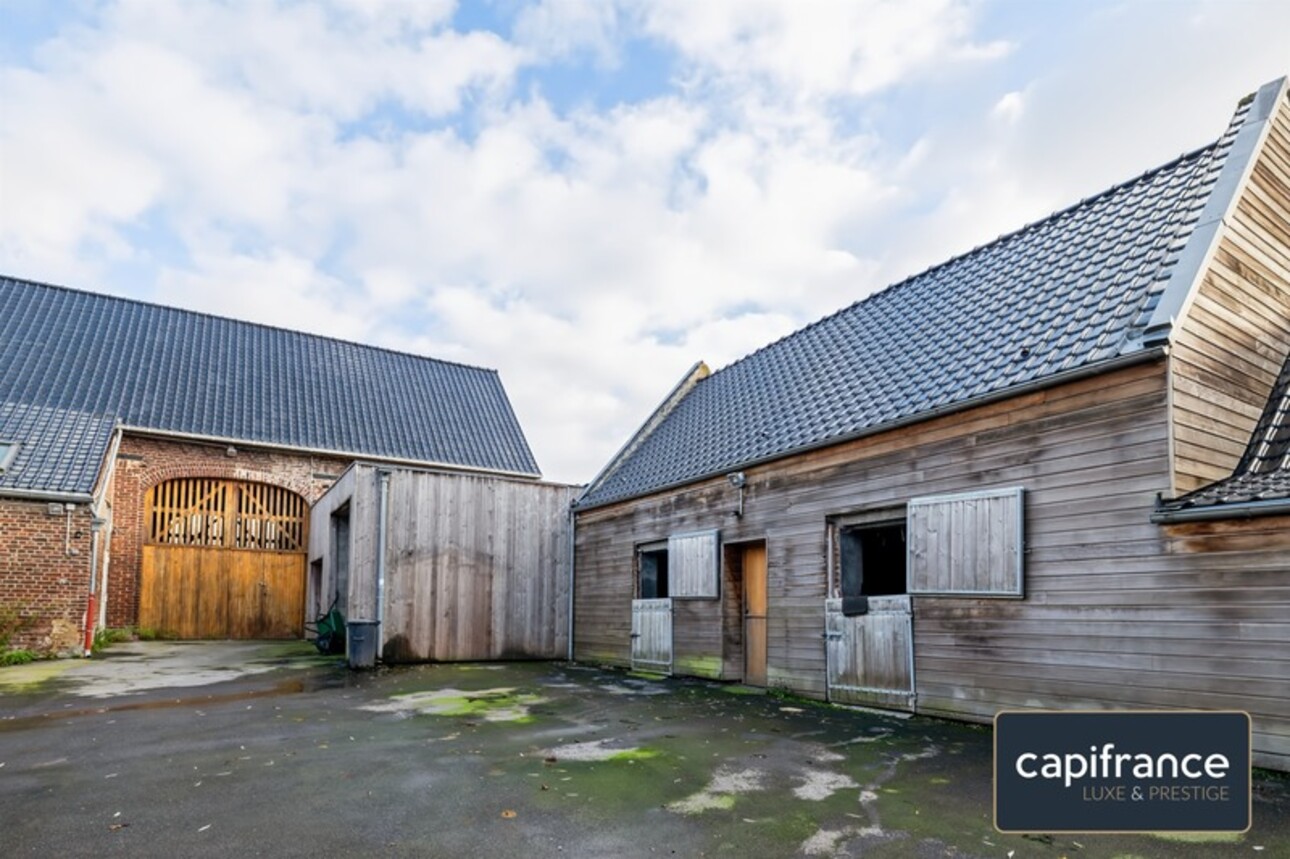 Photos 2 - Equestrian - EXCLUSIVE - EQUESTRIAN PROPERTY IN MILLONFOSSE