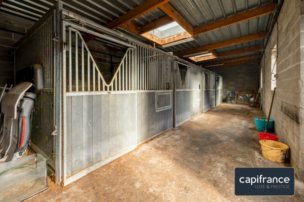 Photos 5 - Equestrian - EXCLUSIVE - EQUESTRIAN PROPERTY IN MILLONFOSSE