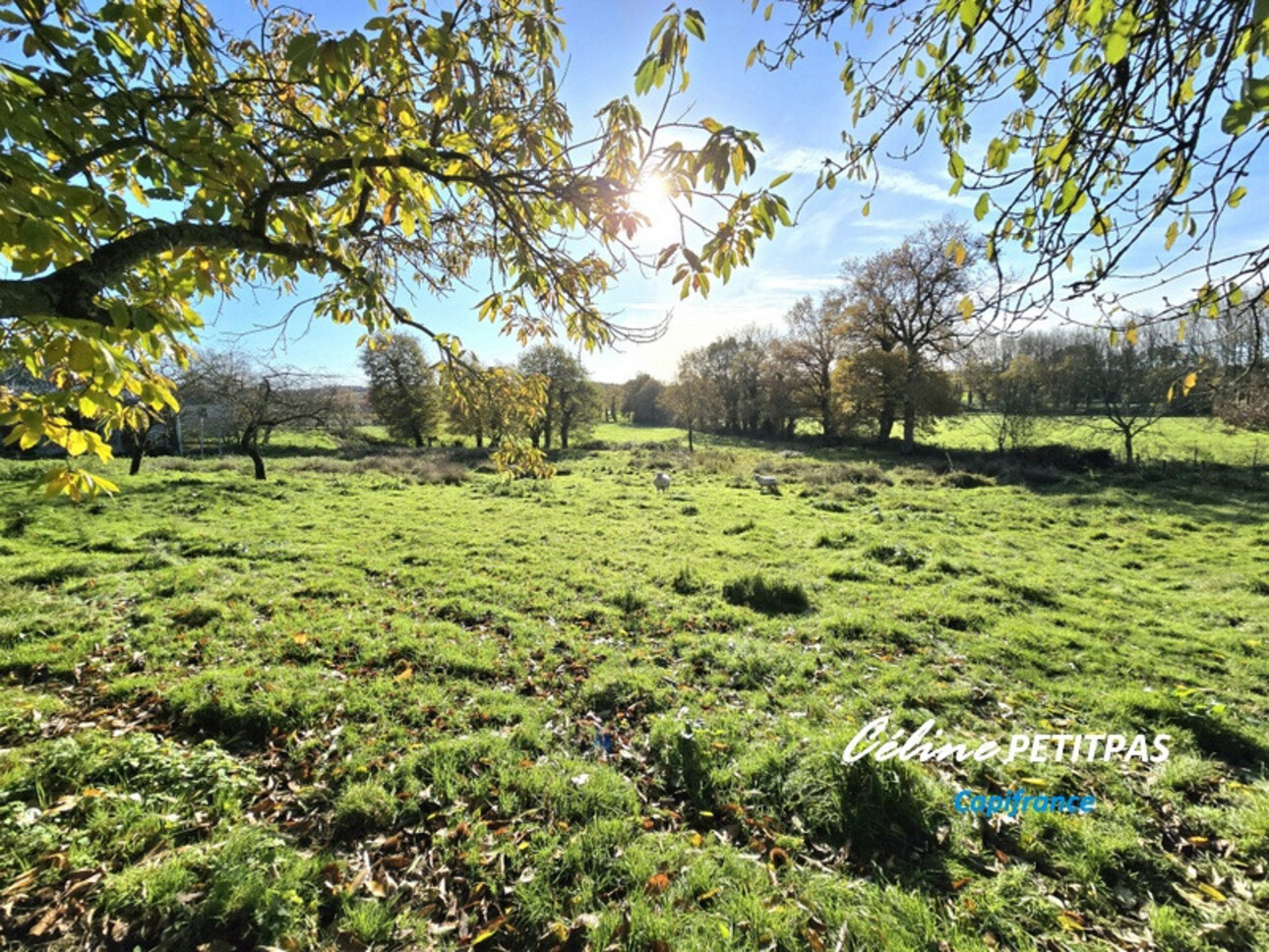 Photos 3 - Touristique - Propriété - longère 310m² - ancienne ferme