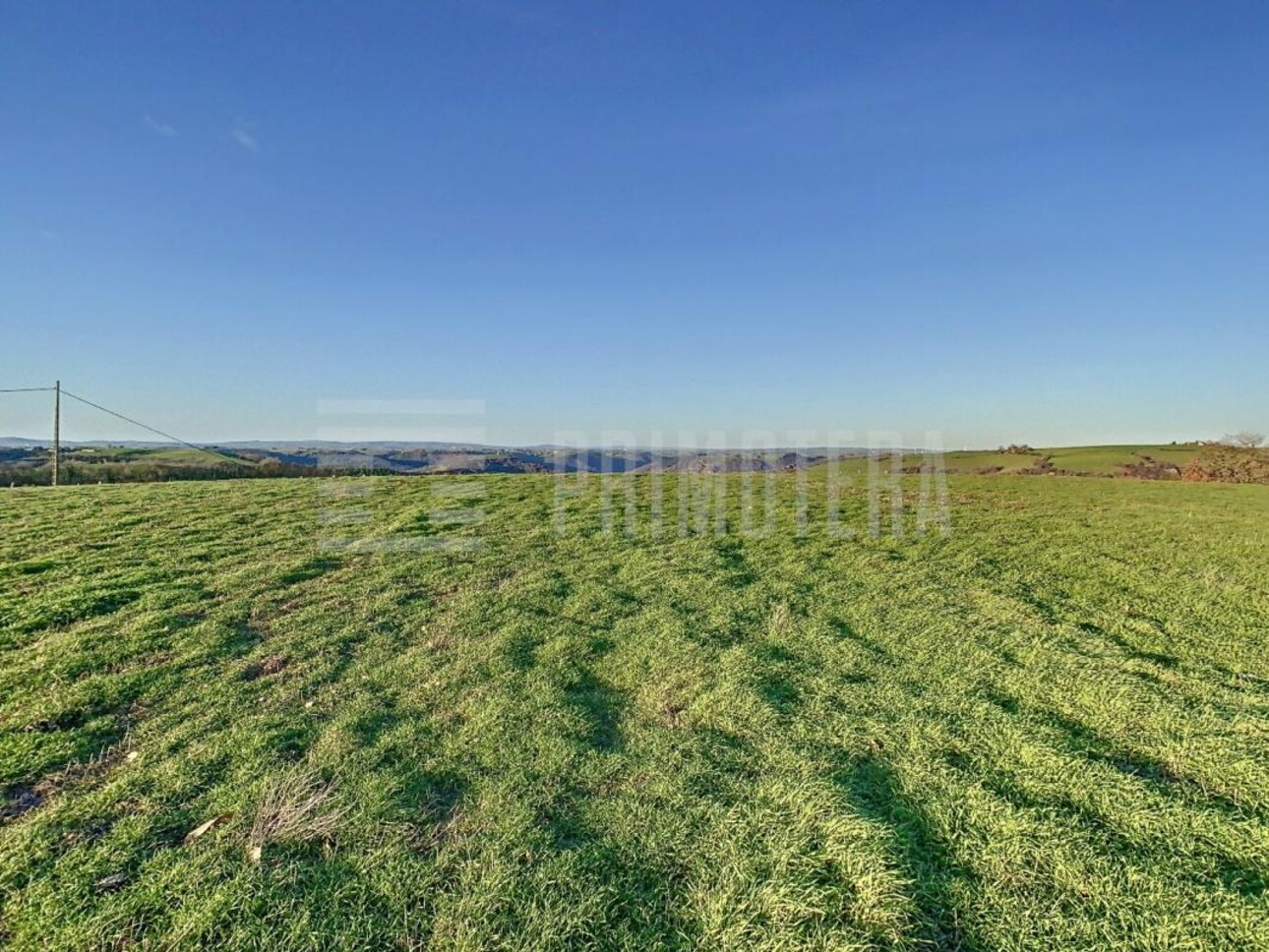 Photos 2 - Foncière - Terrain agricole