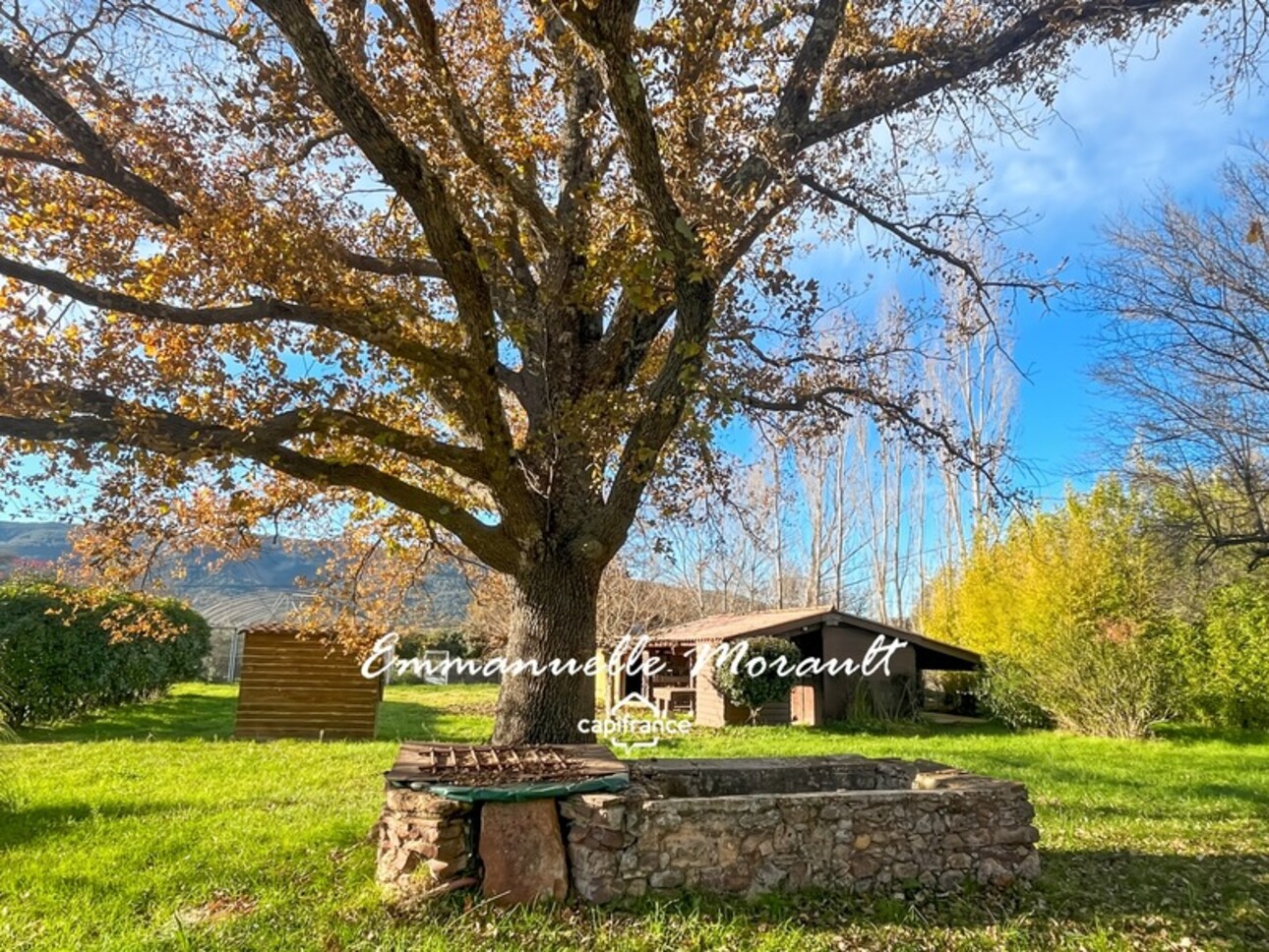 Photos 13 - Equestrian - Propriété de 2 logements et bâtiments agricoles à vendre à BAGNOLS EN FORET (83)