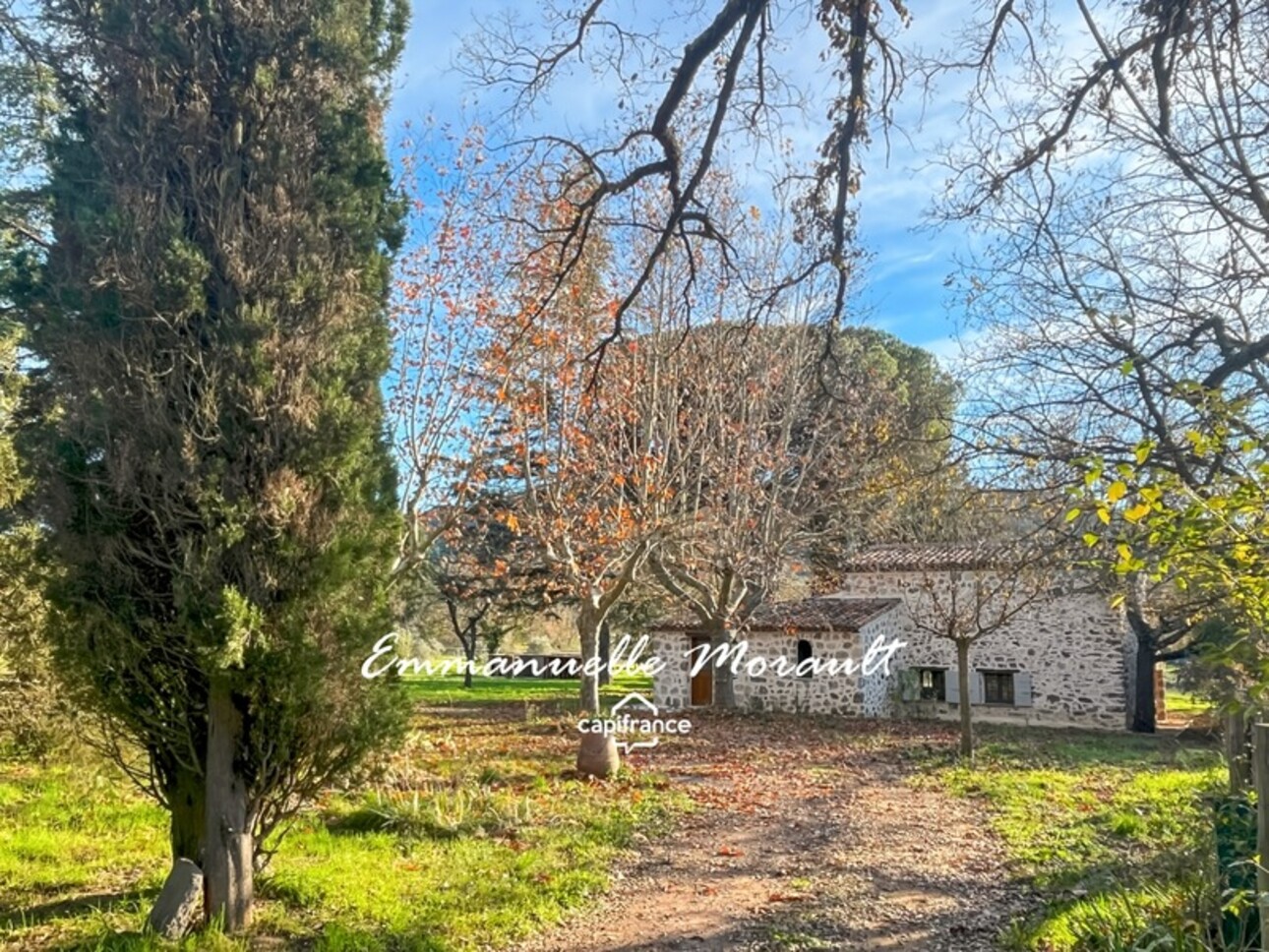 Photos 14 - Equestrian - Propriété de 2 logements et bâtiments agricoles à vendre à BAGNOLS EN FORET (83)