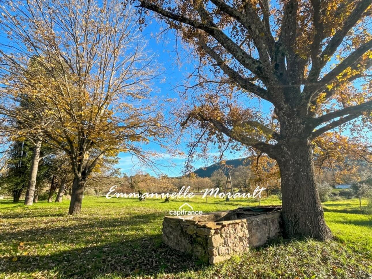 Photos 20 - Equestrian - Propriété de 2 logements et bâtiments agricoles à vendre à BAGNOLS EN FORET (83)