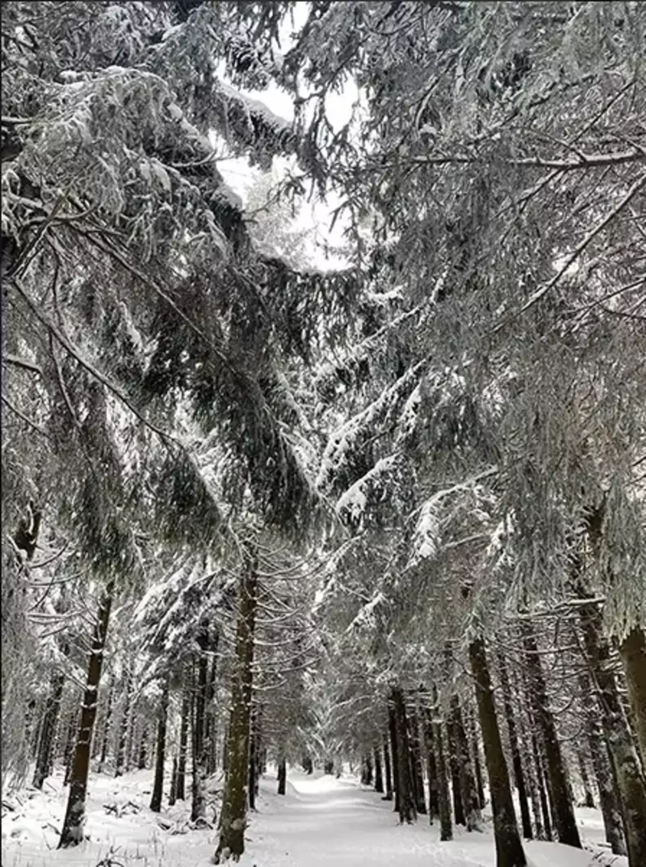 Photos 3 - Touristique - Propriété d'Exception dans le Parc Naturel Régional des Monts d'Ardèche Haute-Loire.