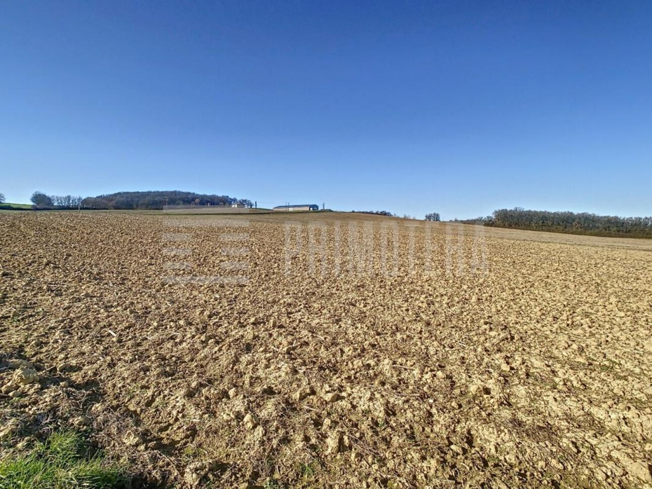 Photos 3 - Agricultural - Farming property