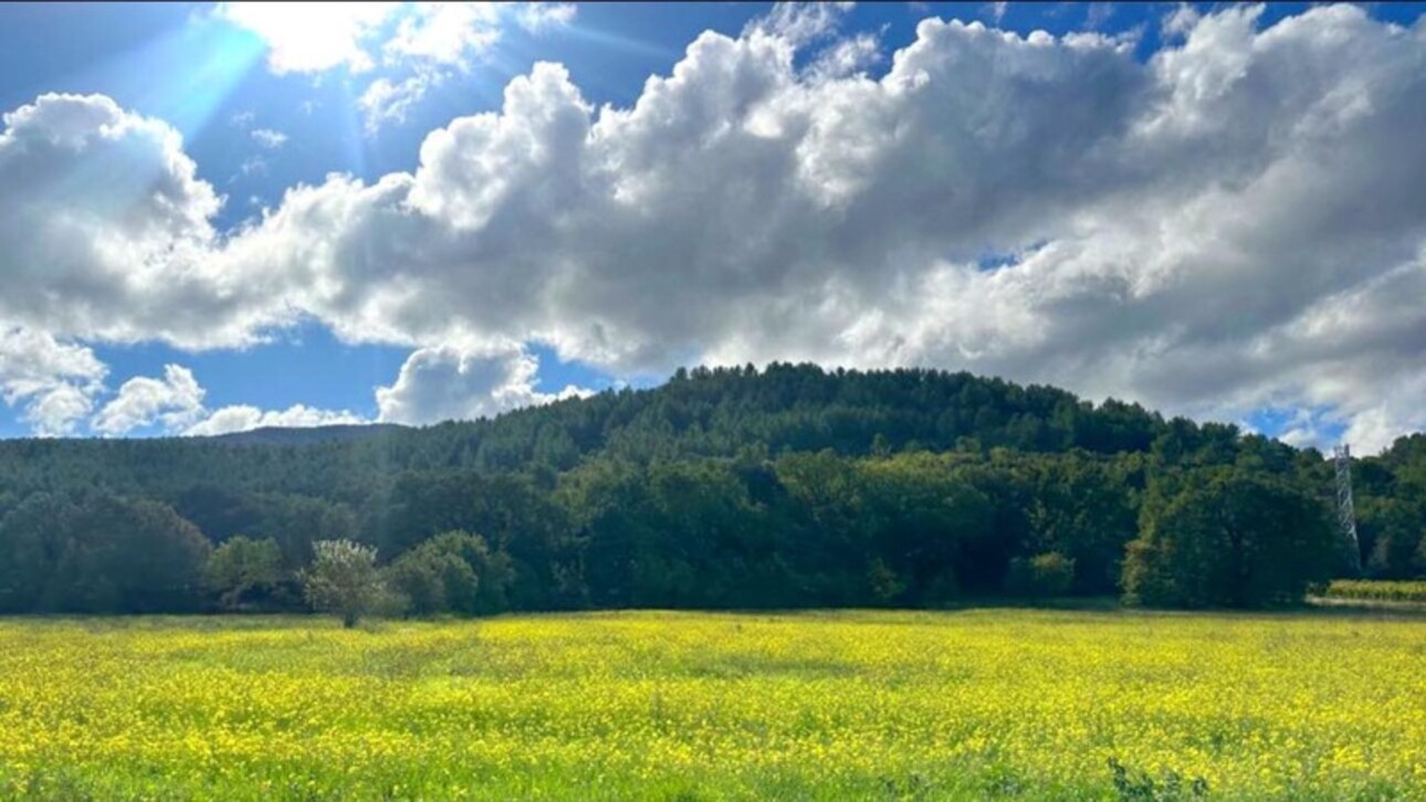 Photos 1 - Land - Terrain agricole à vendre pour cultiver, loisirs ou investissement