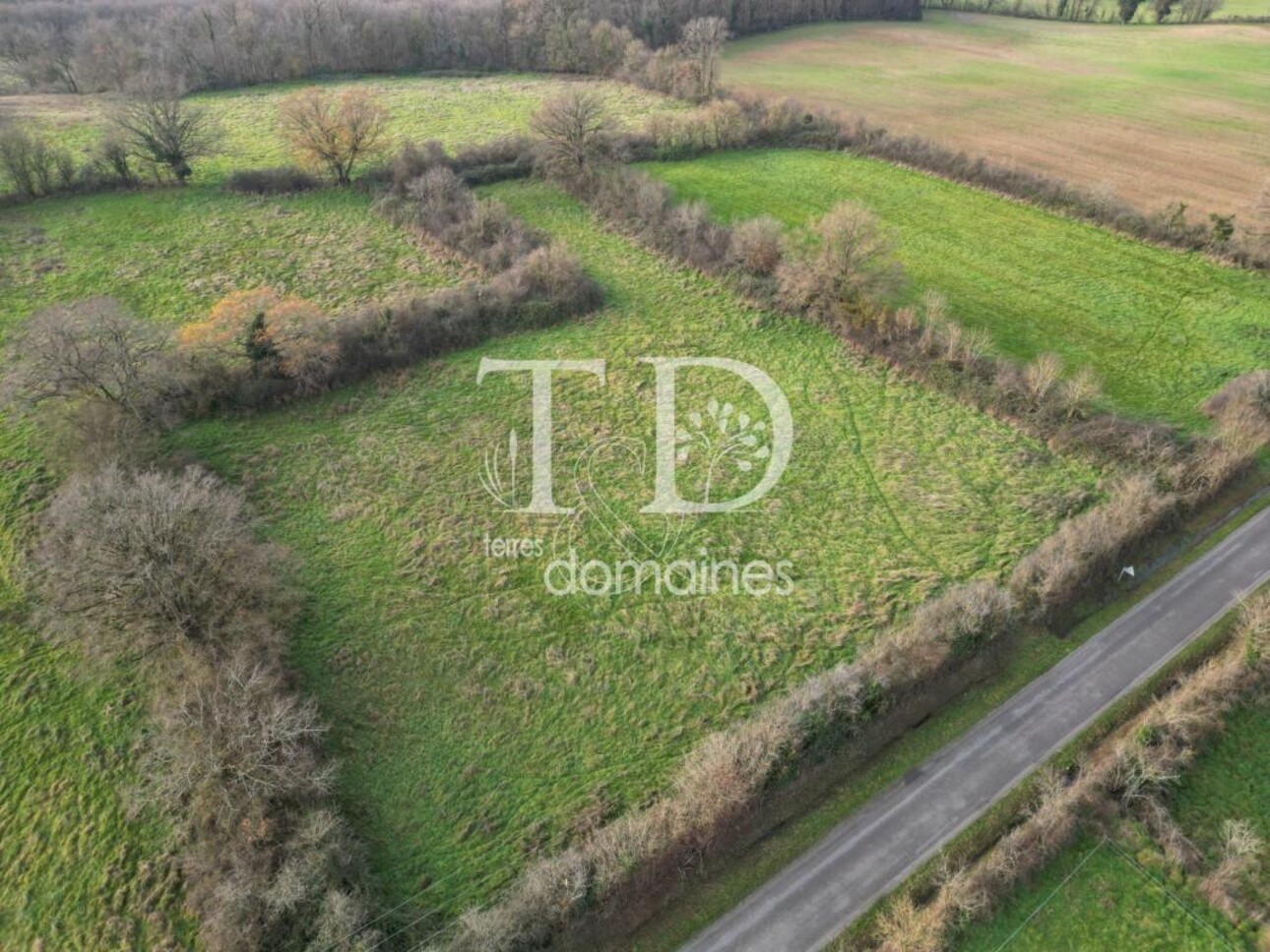 Photos 3 - Land - Prairie naturelle dans l'INDRE