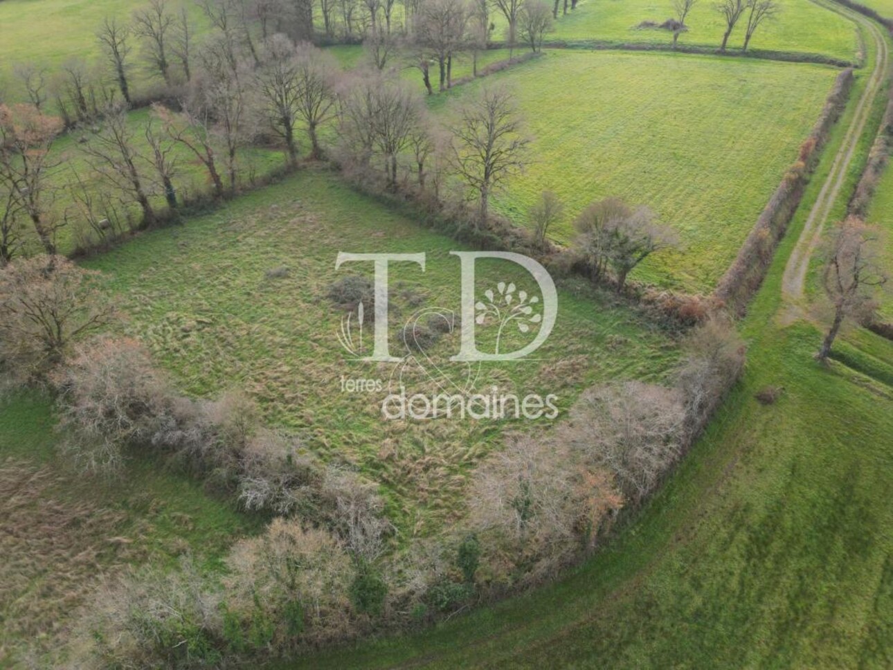 Photos 4 - Land - Prairie naturelle dans l'INDRE