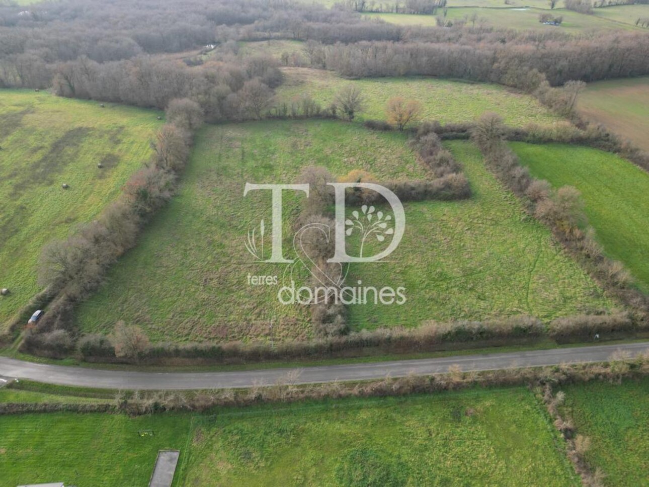 Photos 1 - Land - Prairie naturelle dans l'INDRE