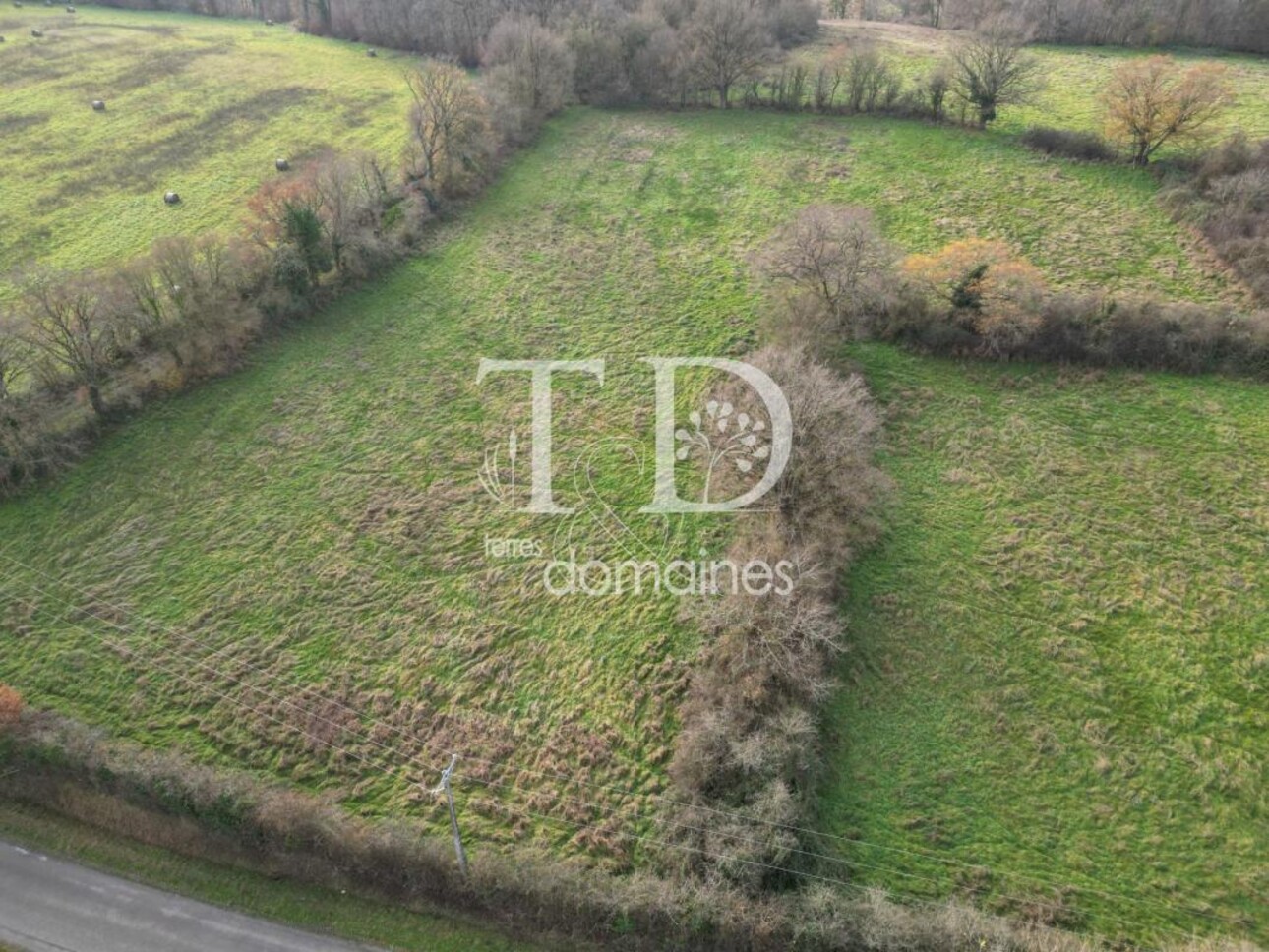 Photos 2 - Land - Prairie naturelle dans l'INDRE