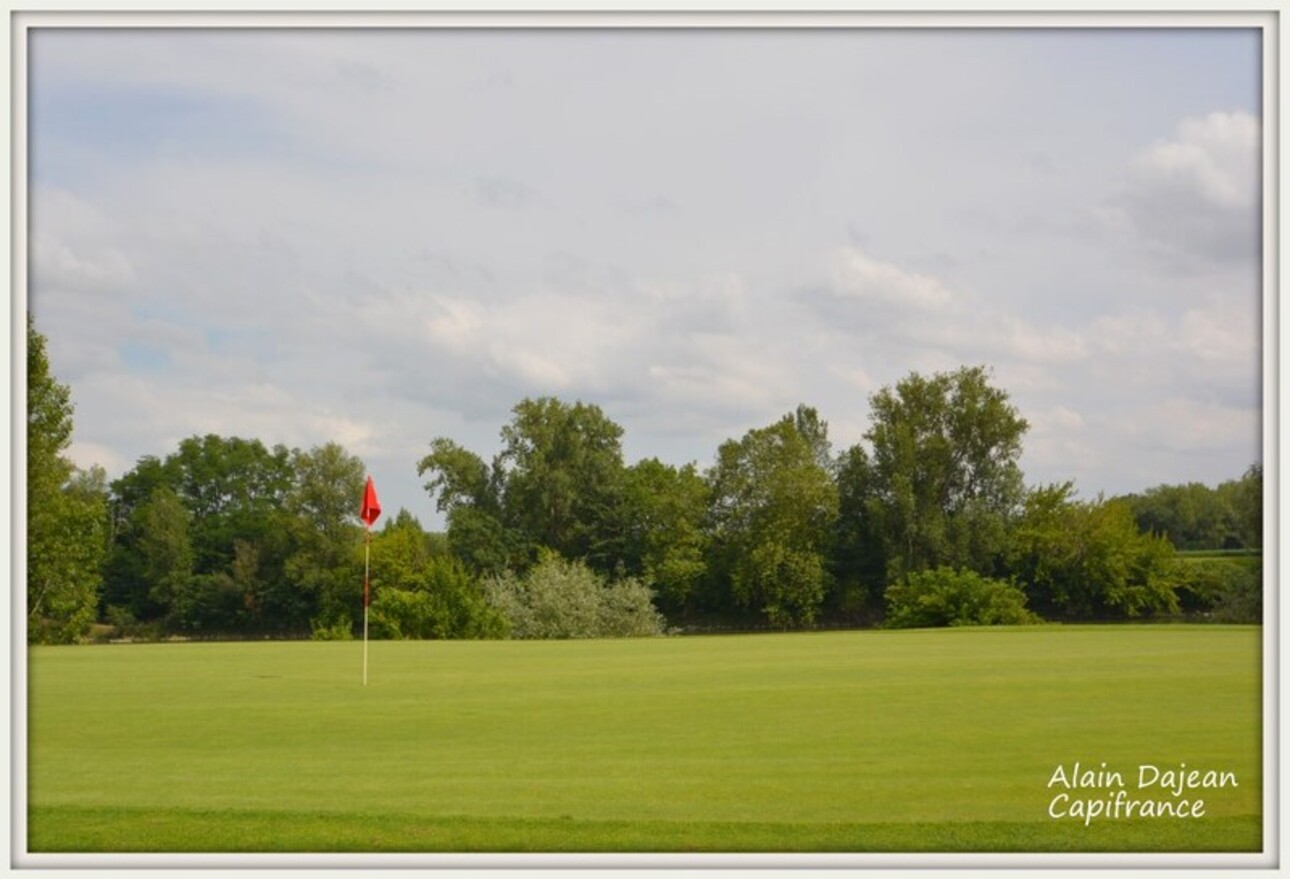 Photos 4 - Prestigious - Dpt Lot et Garonne (47), for sale 17th Century Chateau at the gates of AGEN - 52 Hectares of land