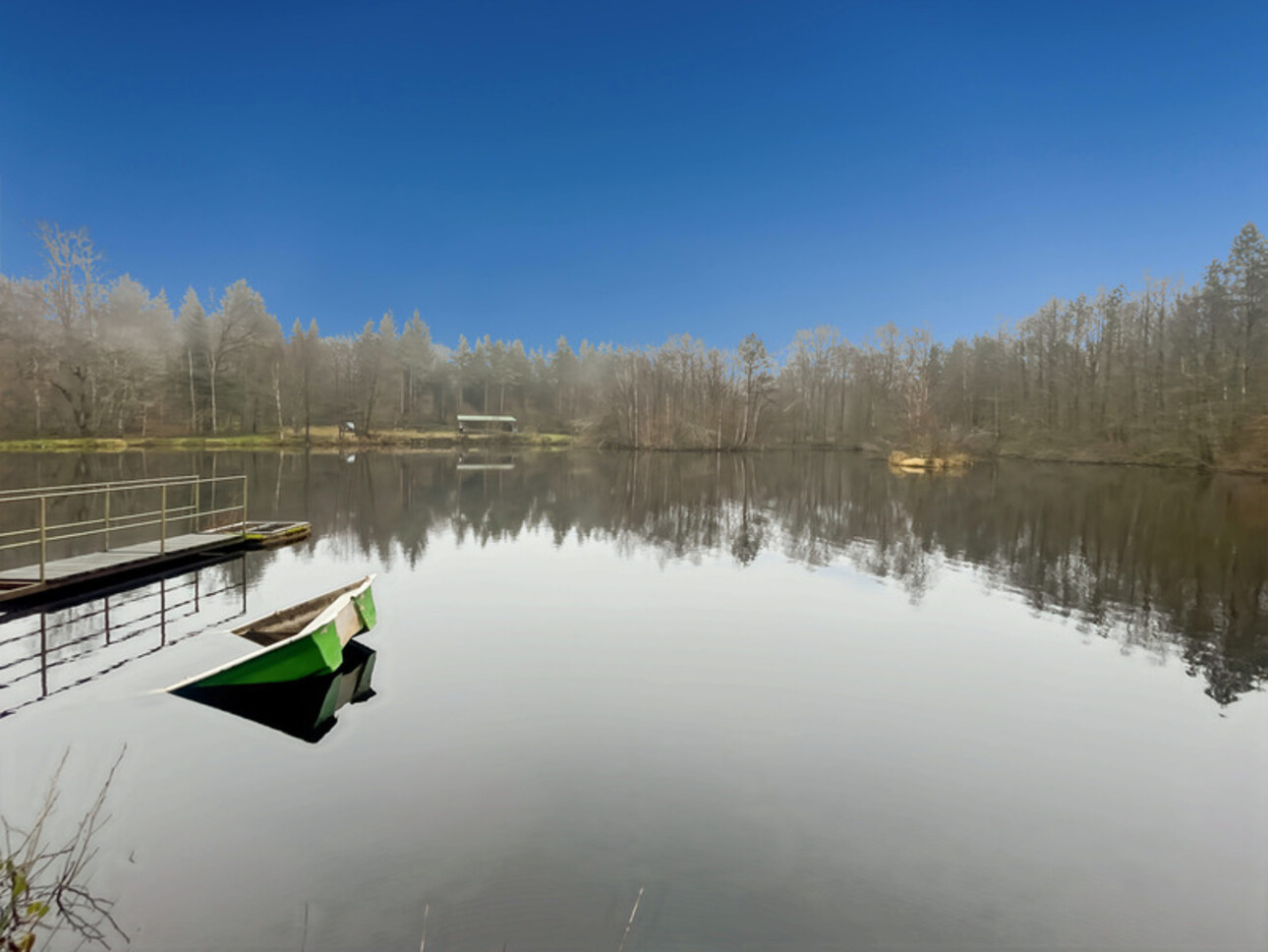 Photos 1 - Forestière - Etang d’1 hectare et 4 hectares de bois à Saint-Brisson (58 300)