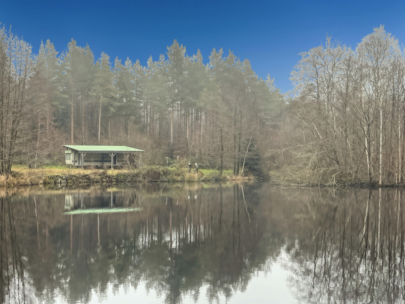 Photos 5 - Forestière - Etang d’1 hectare et 4 hectares de bois à Saint-Brisson (58 300)