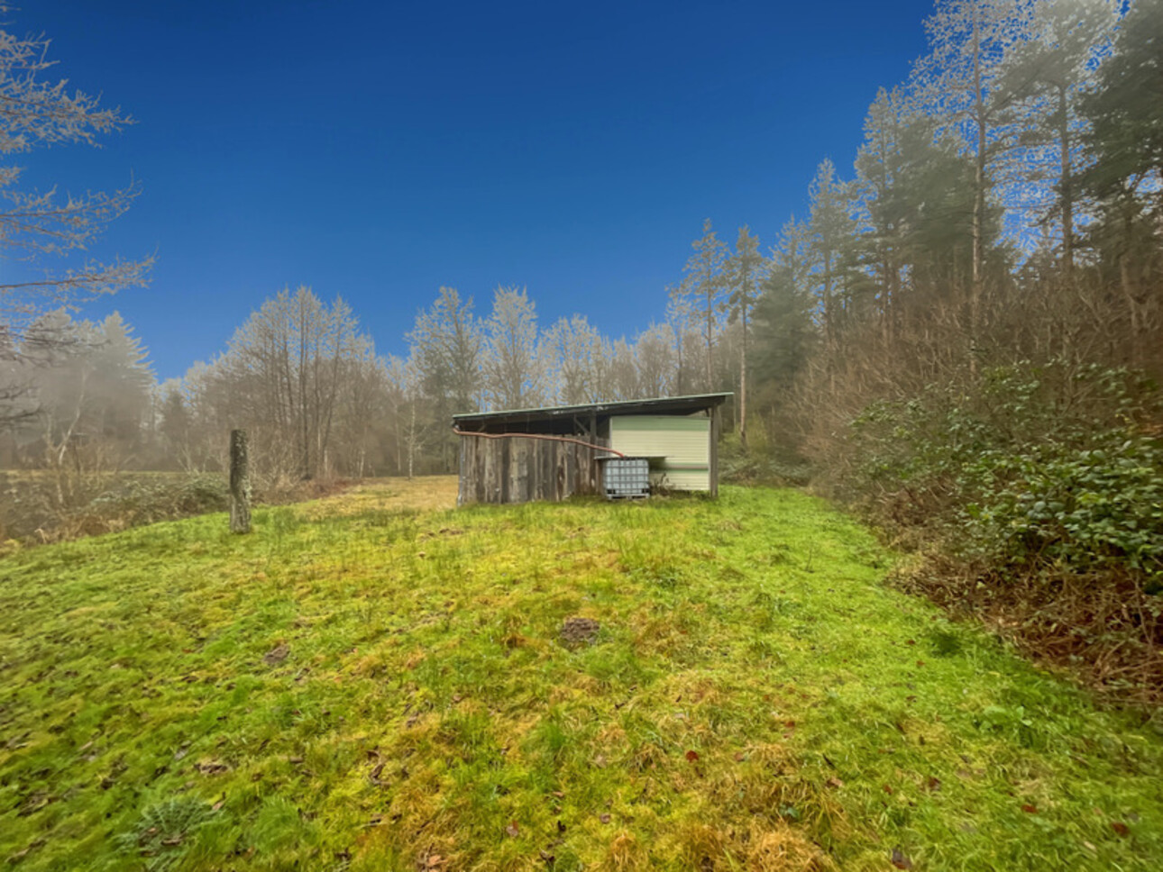 Photos 6 - Forestière - Etang d’1 hectare et 4 hectares de bois à Saint-Brisson (58 300)