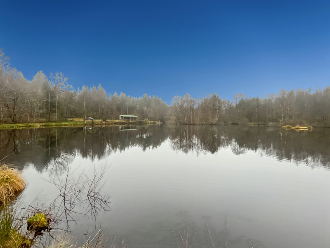 Photos 7 - Forestière - Etang d’1 hectare et 4 hectares de bois à Saint-Brisson (58 300)