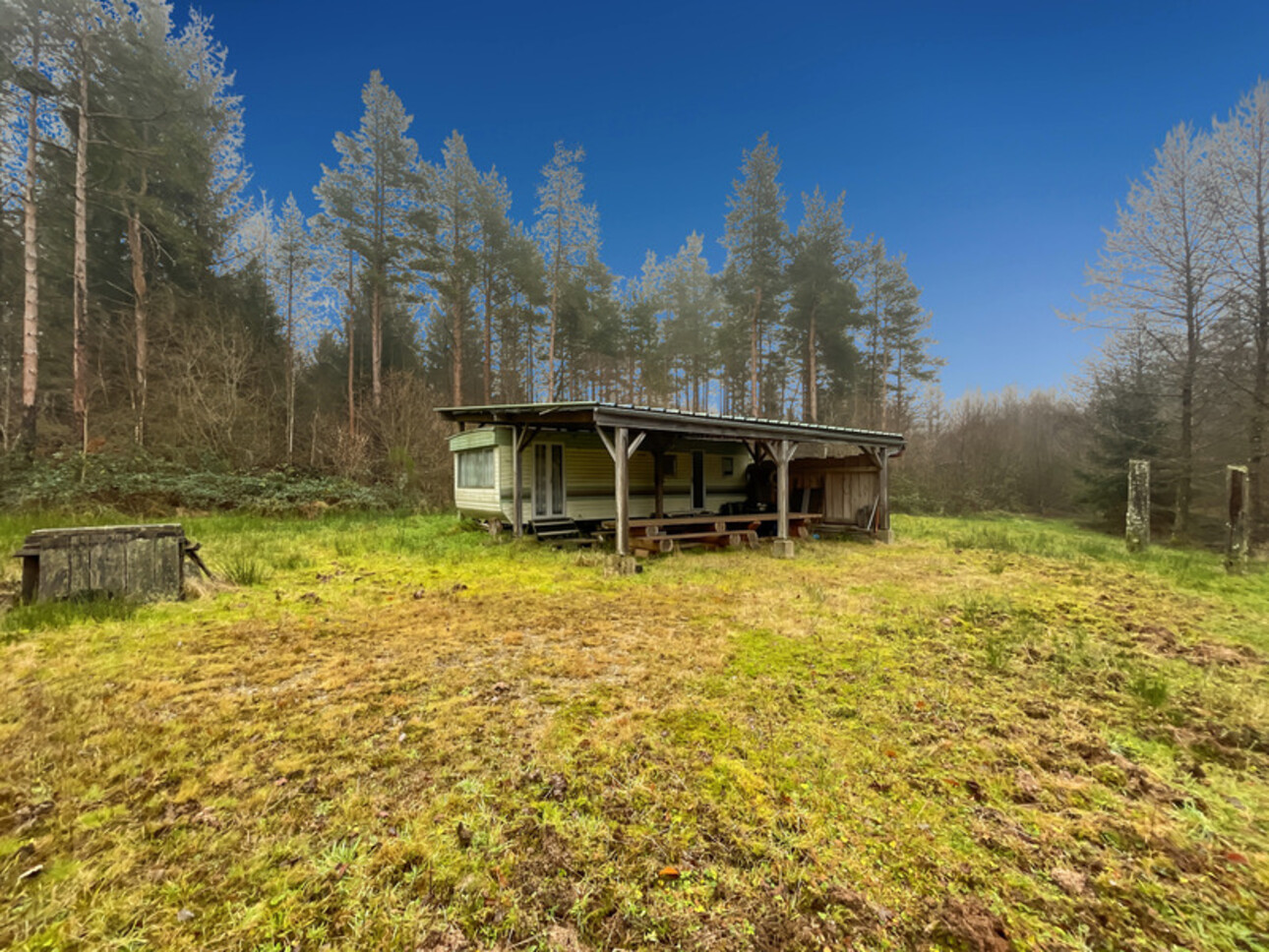 Photos 10 - Forestière - Etang d’1 hectare et 4 hectares de bois à Saint-Brisson (58 300)