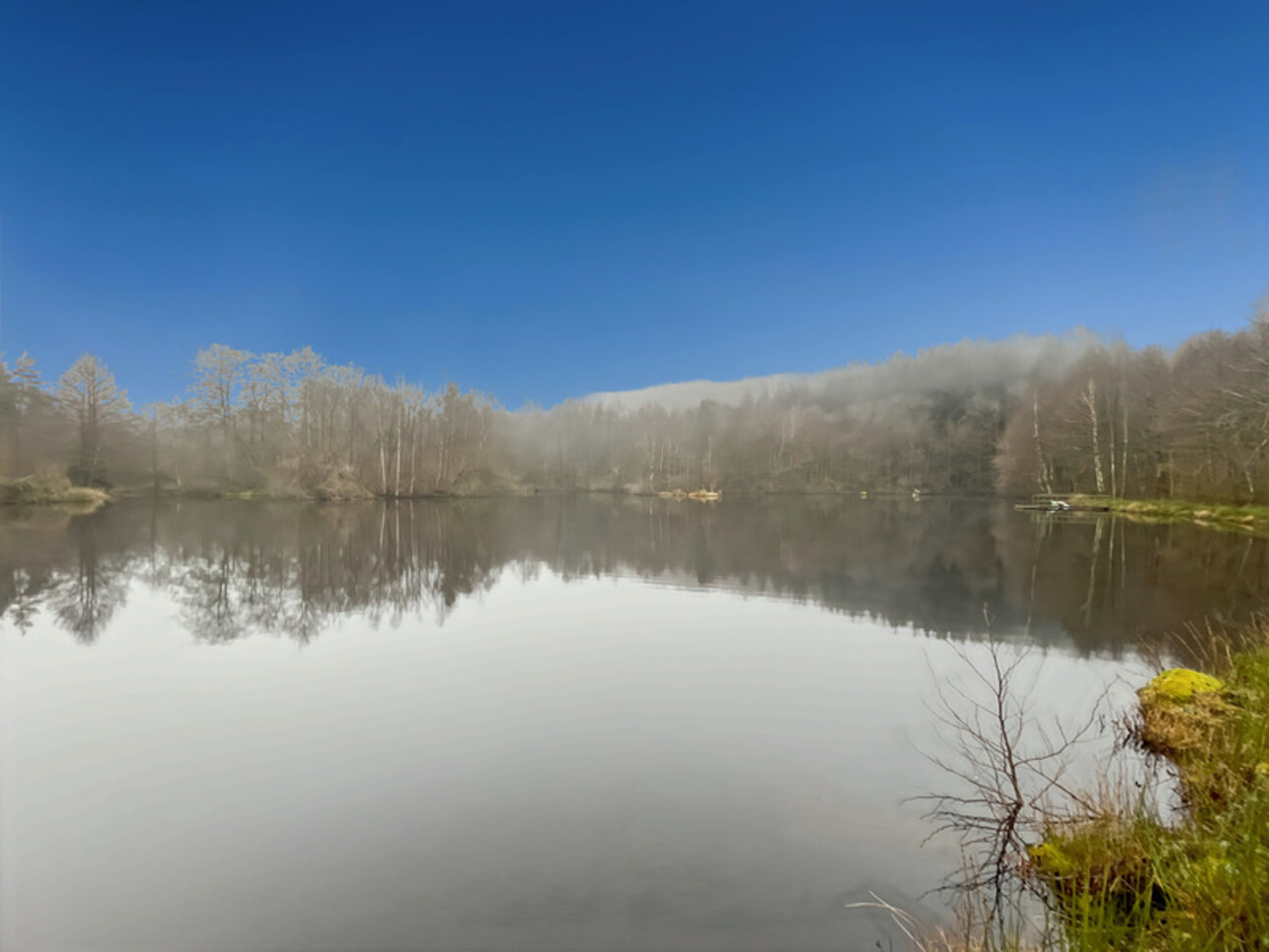 Photos 11 - Forestière - Etang d’1 hectare et 4 hectares de bois à Saint-Brisson (58 300)