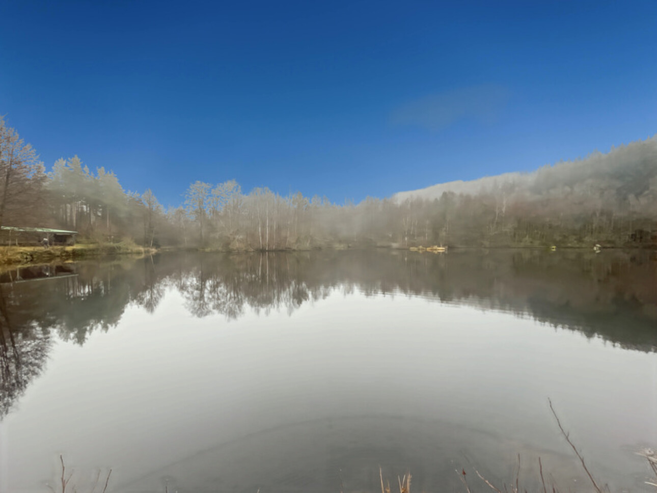 Photos 12 - Forestière - Etang d’1 hectare et 4 hectares de bois à Saint-Brisson (58 300)