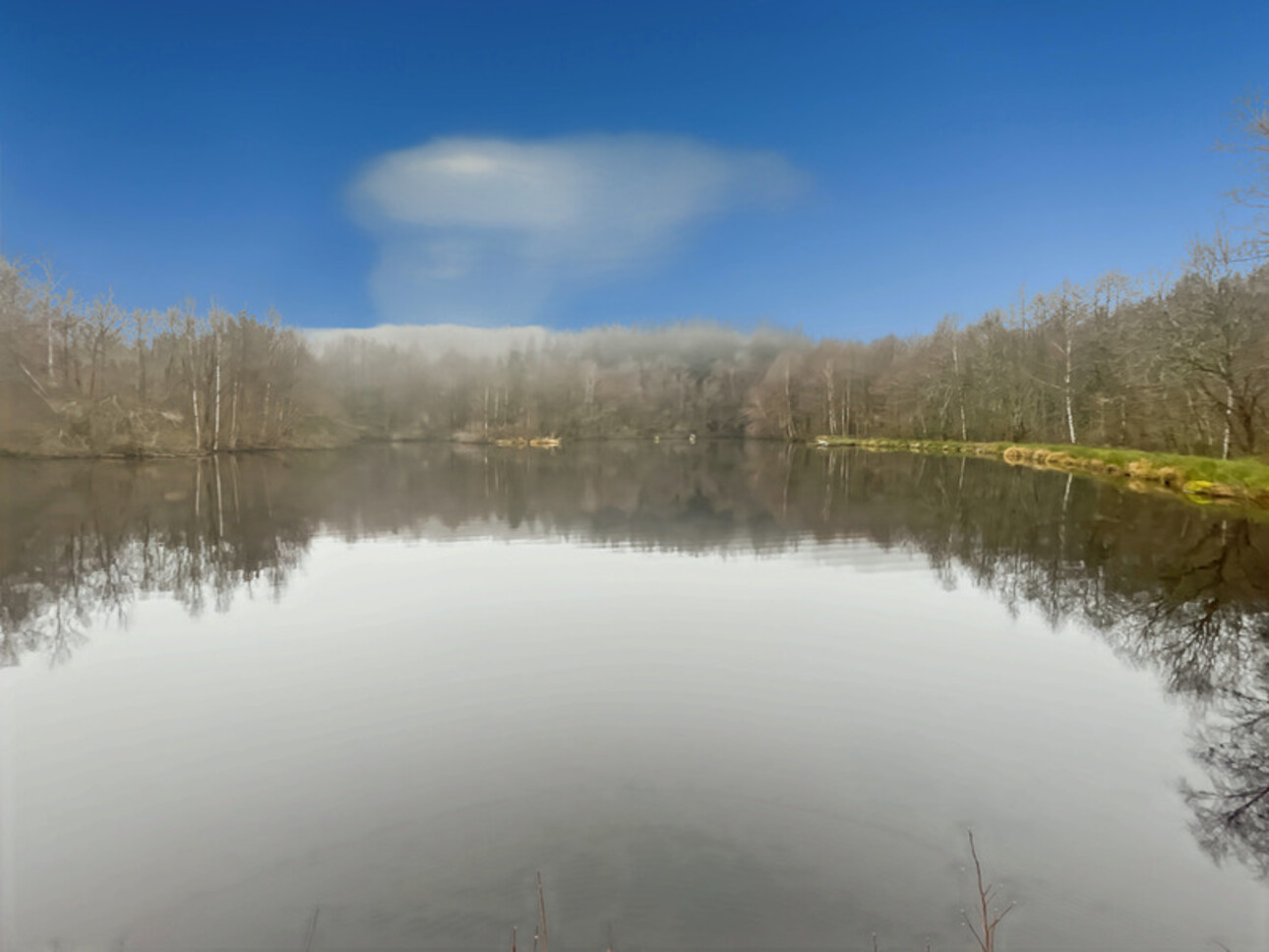 Photos 13 - Forestière - Etang d’1 hectare et 4 hectares de bois à Saint-Brisson (58 300)