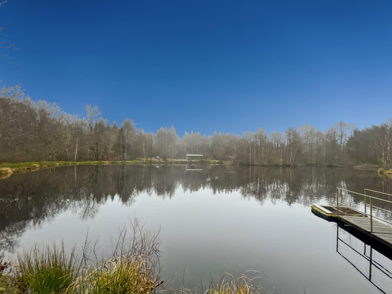 Photos 14 - Forestière - Etang d’1 hectare et 4 hectares de bois à Saint-Brisson (58 300)