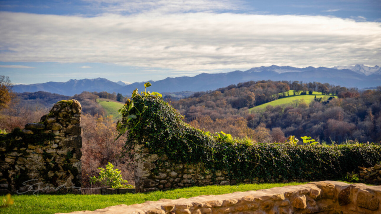 Photos 16 - Tourist - Dpt Pyrénées Atlantiques (64), à vendre LASSEUBE/PAU Enclos Béarnais à ressusciter