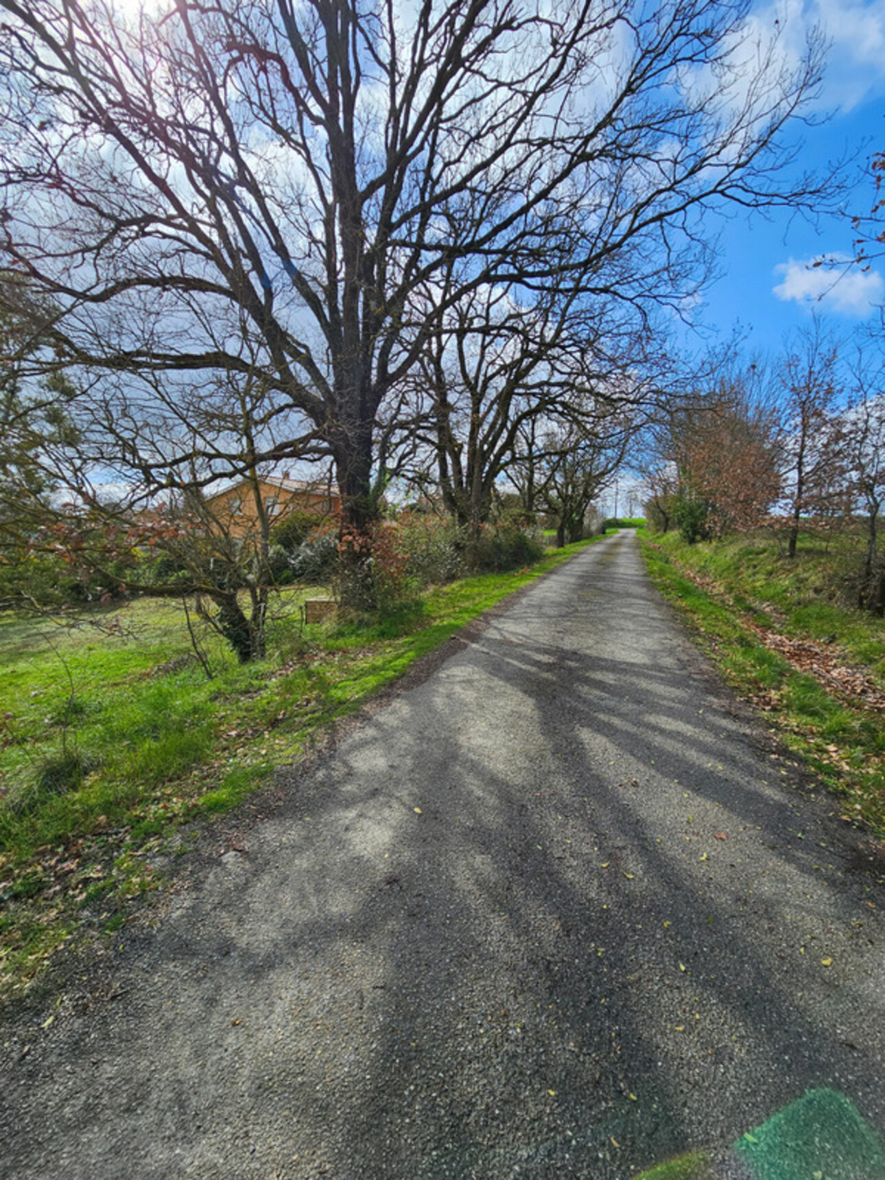 Photos 1 - Tourist - Dpt Haute Garonne (31), à vendre GAURE propriete P8