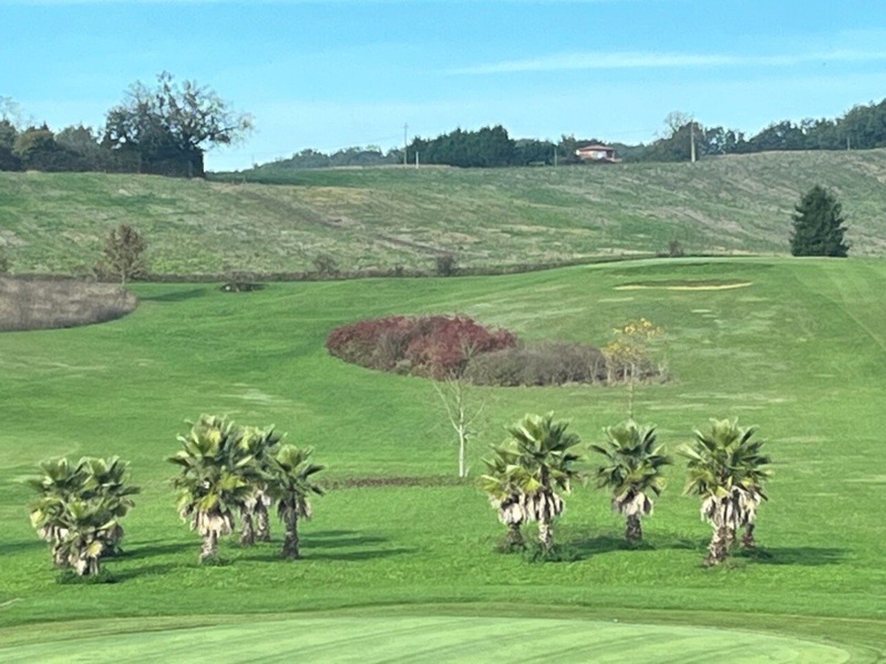 Photos 25 - Prestige - ÉLEGANT CHATEAU XVIII sur 70 ha, VUE PANORAMIQUE PYRÉNÉES, Toulouse-Blagnac 1h30