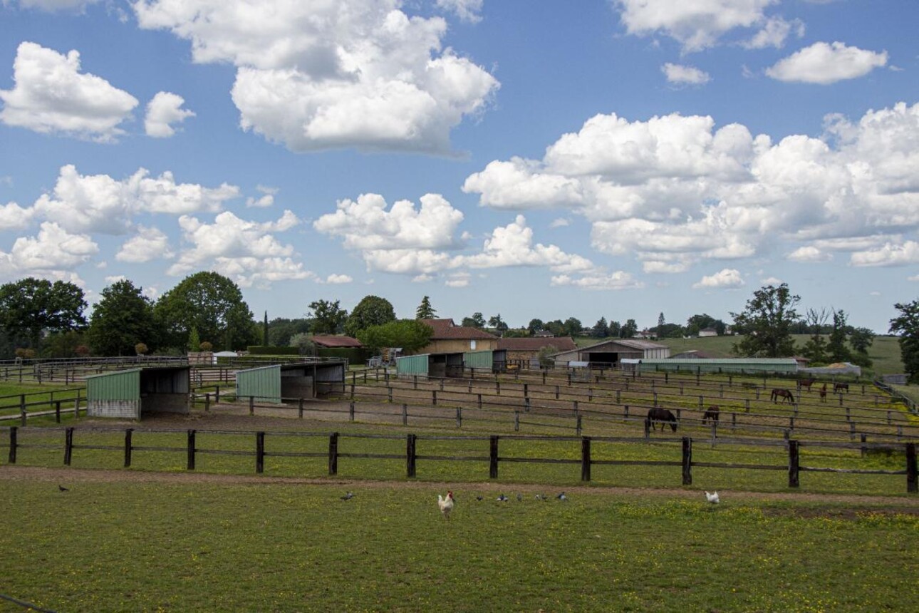 Photos 5 - Équestre - Haras / Equestre