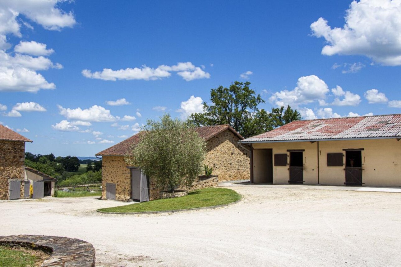 Photos 15 - Équestre - Haras / Equestre