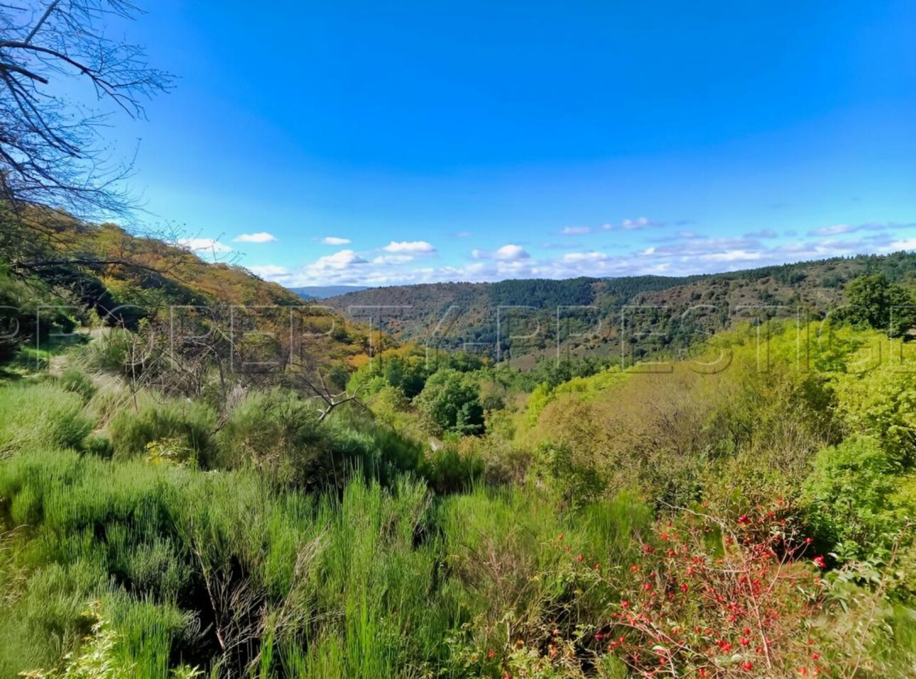 Photos 5 - Agricultural - ARDECHE FERME 48 HA RUISSEAU SOURCES