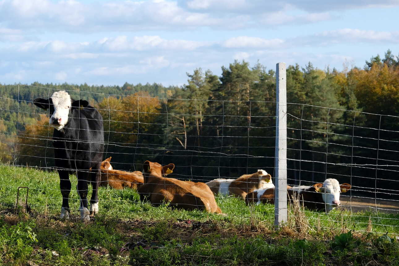 Quels types de clôtures sont les plus adaptés aux activités agro-pastorales ?