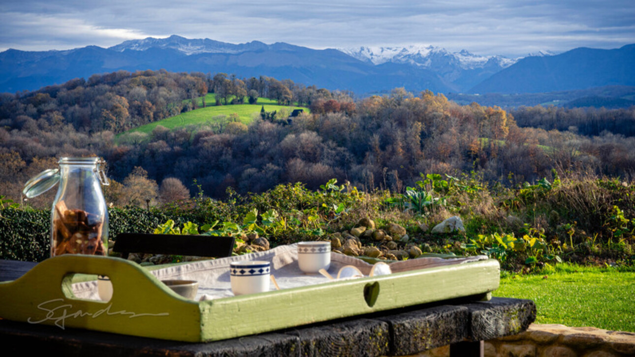 Photos 2 - Prestigious - Dpt Pyrénées Atlantiques (64), à vendre LASSEUBE/PAU Enclos Béarnais à ressusciter