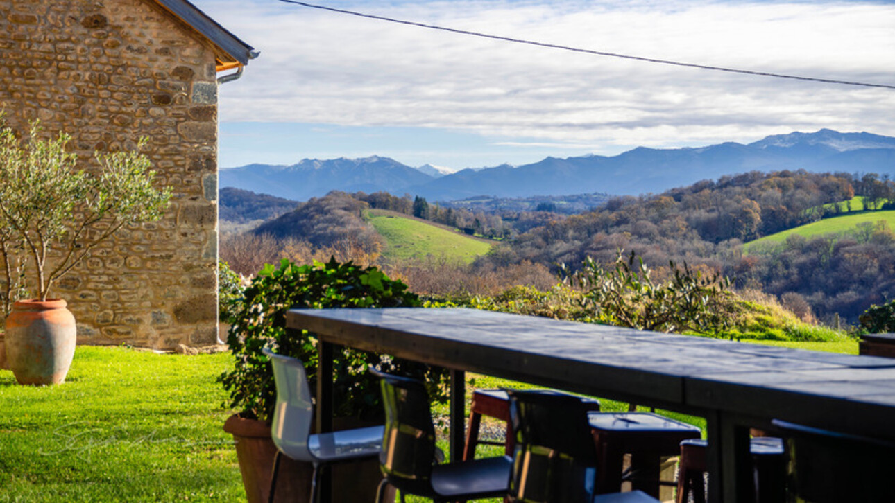 Photos 11 - Prestigious - Dpt Pyrénées Atlantiques (64), à vendre LASSEUBE/PAU Enclos Béarnais à ressusciter