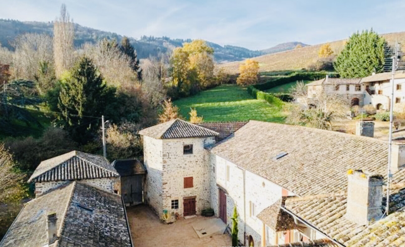 Photos 7 - Prestige - CHATEAU du 13ème siècle avec 11 HA