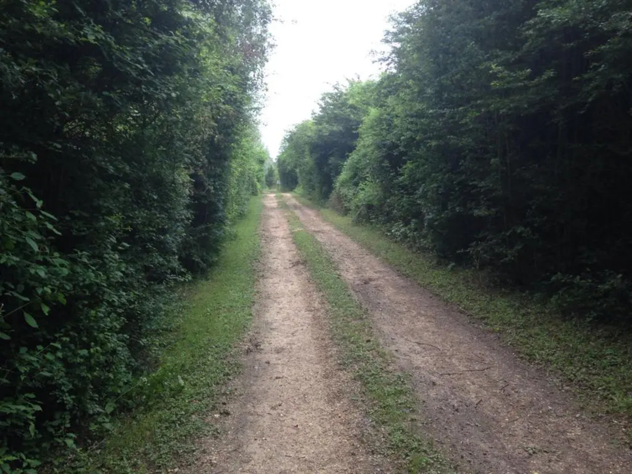 Photos 11 - Foncière - Camp de pêche à la carpe de 13,7 ha dont un étang d'environ 10 ha-à vendre en Bourgogne (89)amp