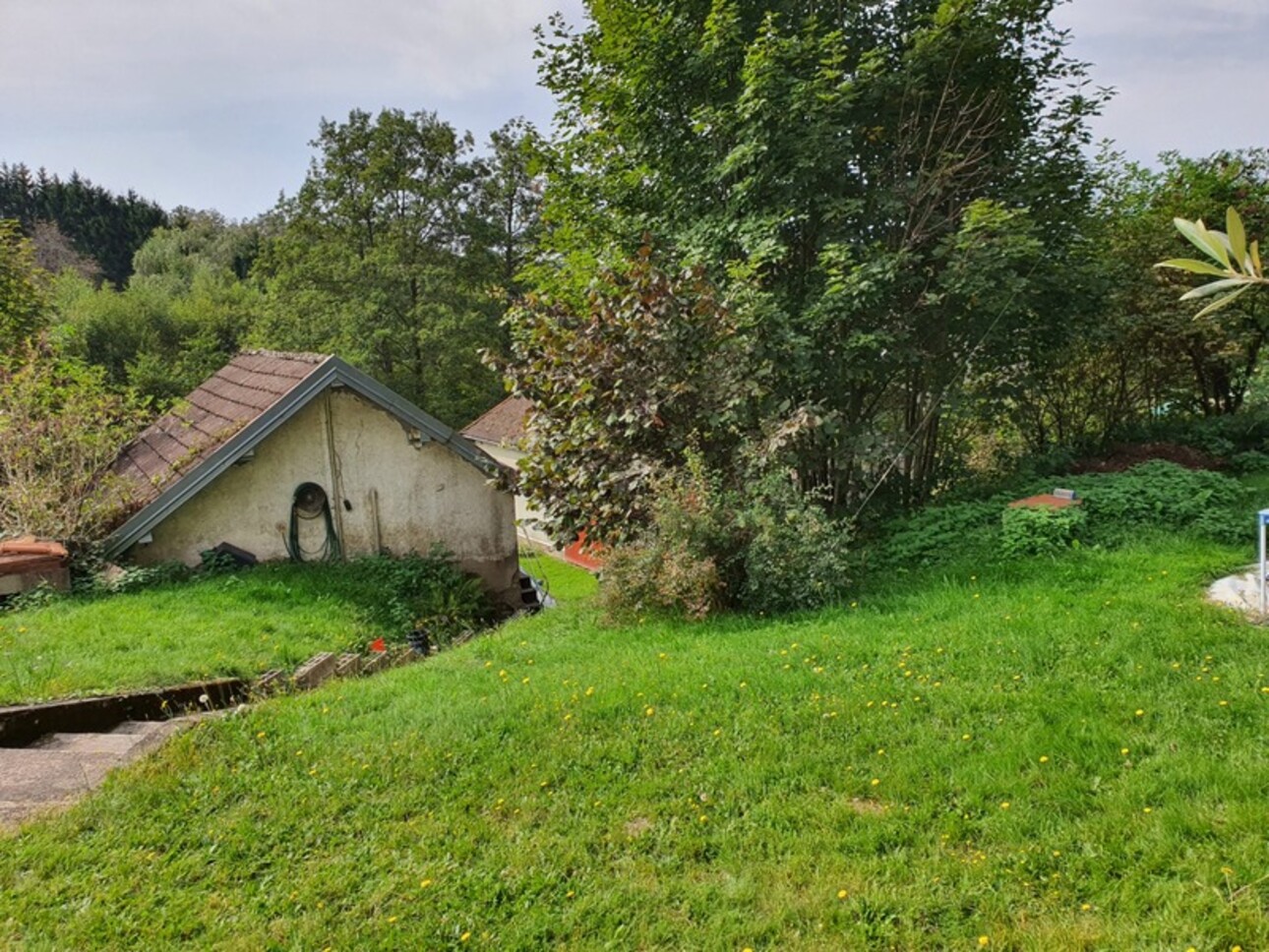 Photos 50 - Tourist - Dpt Vosges (88), for sale near REMIREMONT - SINGLE-STOREY ESTATE ideal GROUP GITE with POND