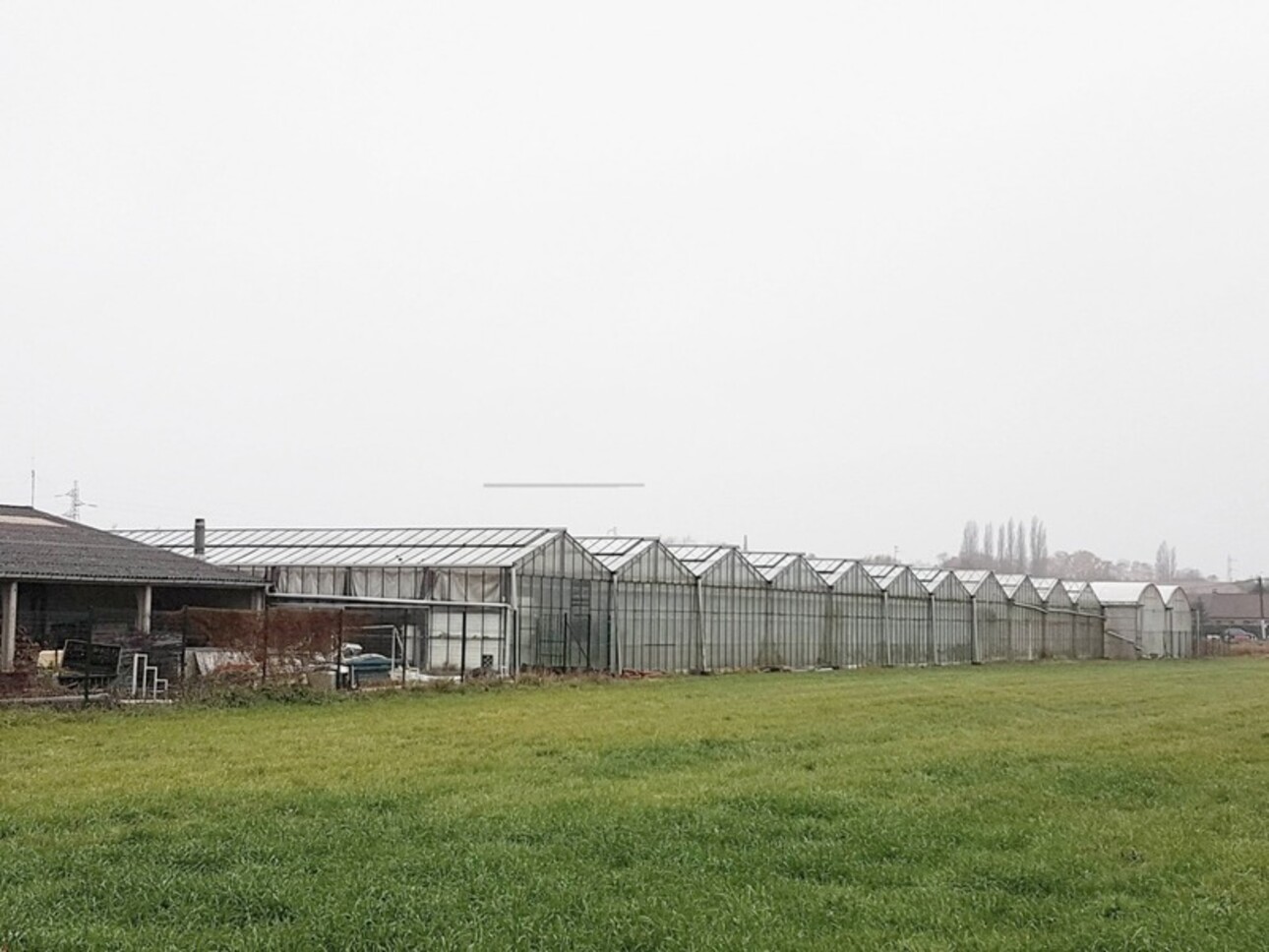 Photos 2 - Agricole - Dpt Nord (59), à  SIN LE NOBLE , exploitation horticole sur près de 4 hectares dont 10000m² de serres et hangar!