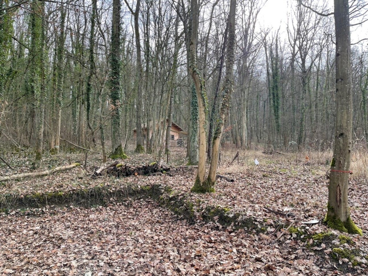 Photos 3 - Forest - Dpt Moselle (57), à vendre MALROY terrain