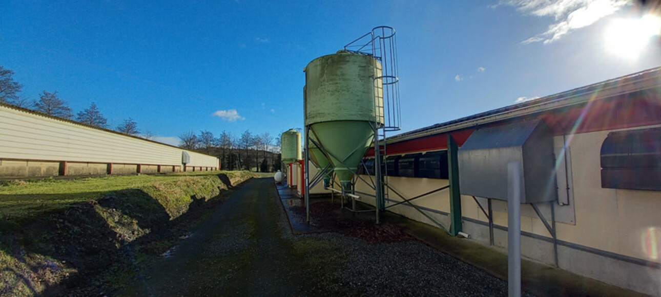 Photos 16 - Agricole - Proprieté avicole