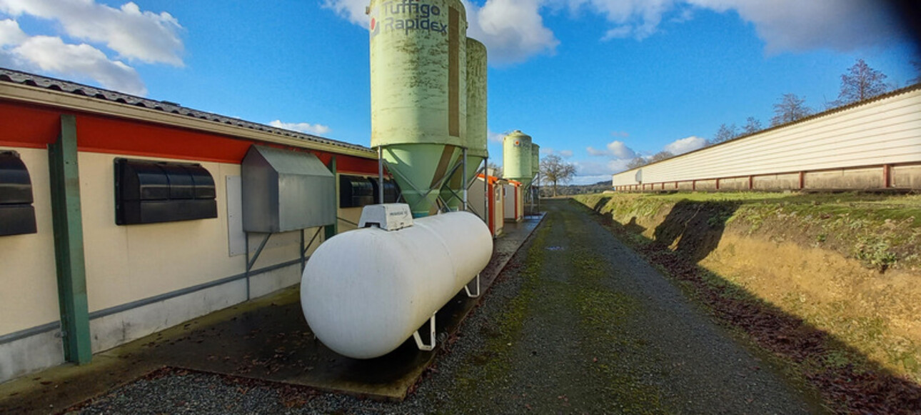 Photos 19 - Agricole - Proprieté avicole