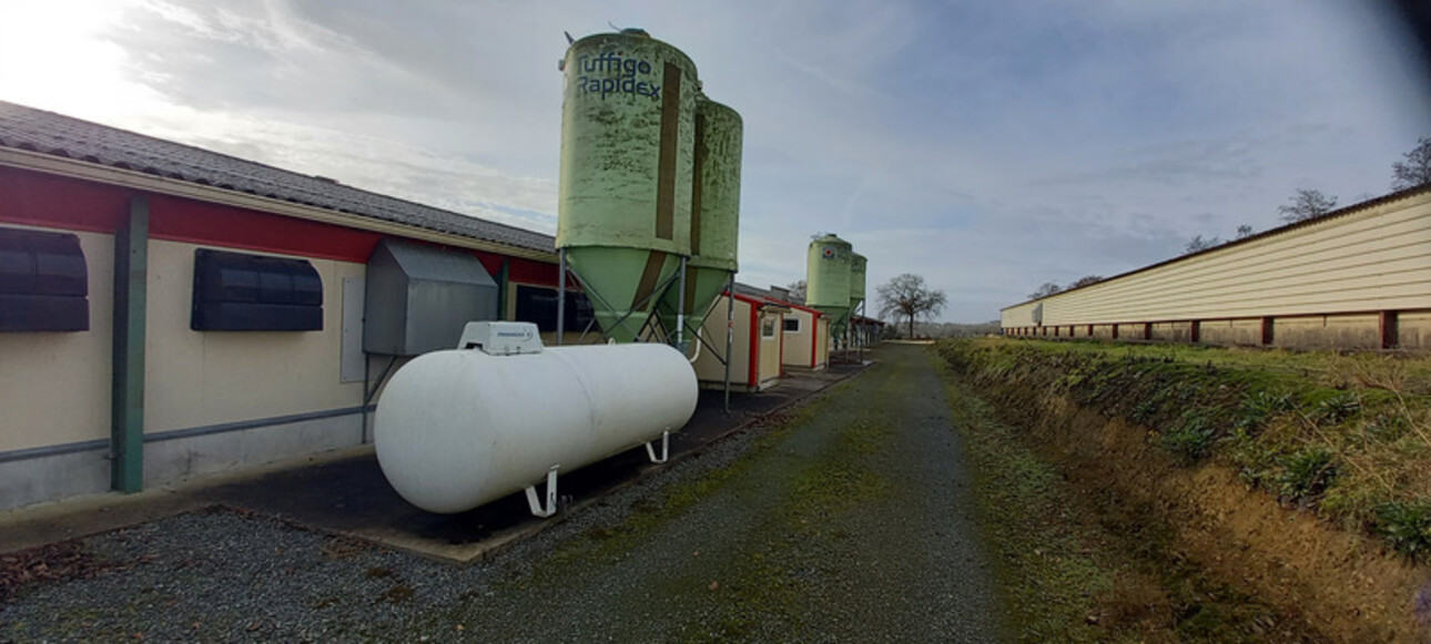 Photos 23 - Agricole - Proprieté avicole