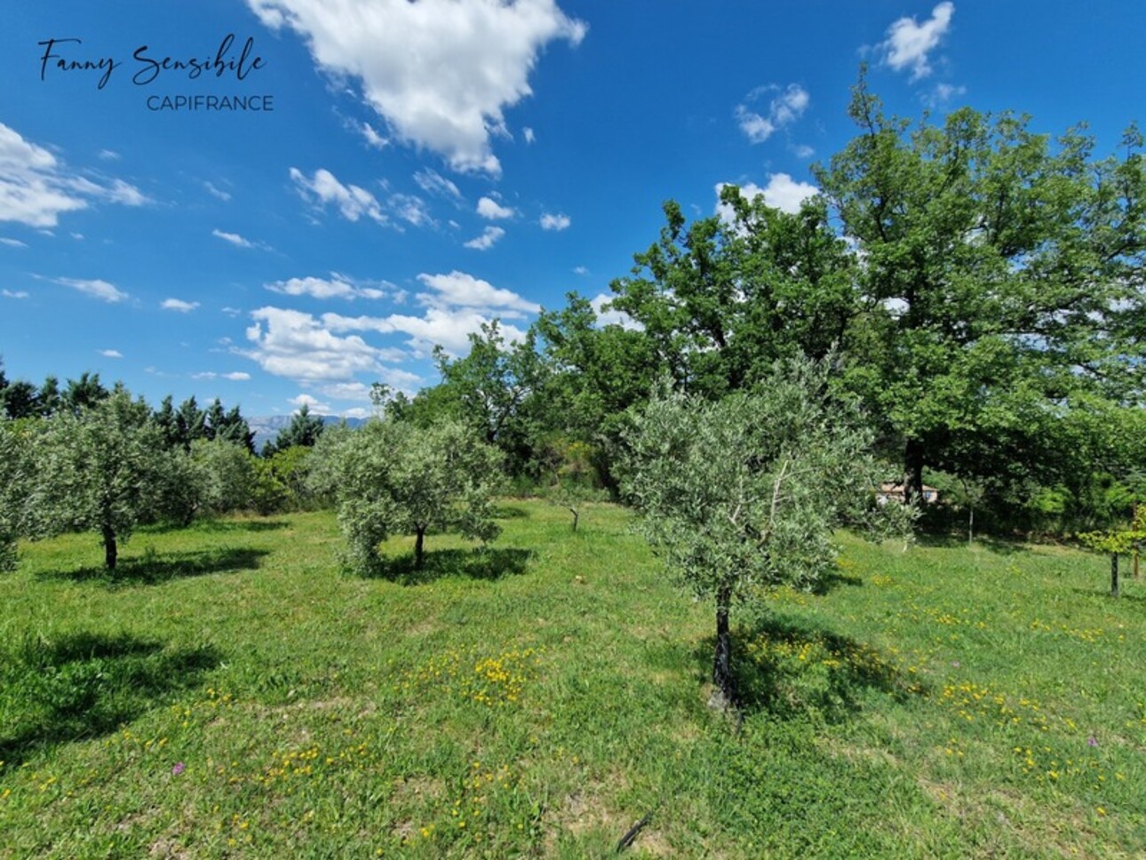 Photos 3 - Prestige - Propriété 5 chambres au grand calme 5500 m2 de terrain