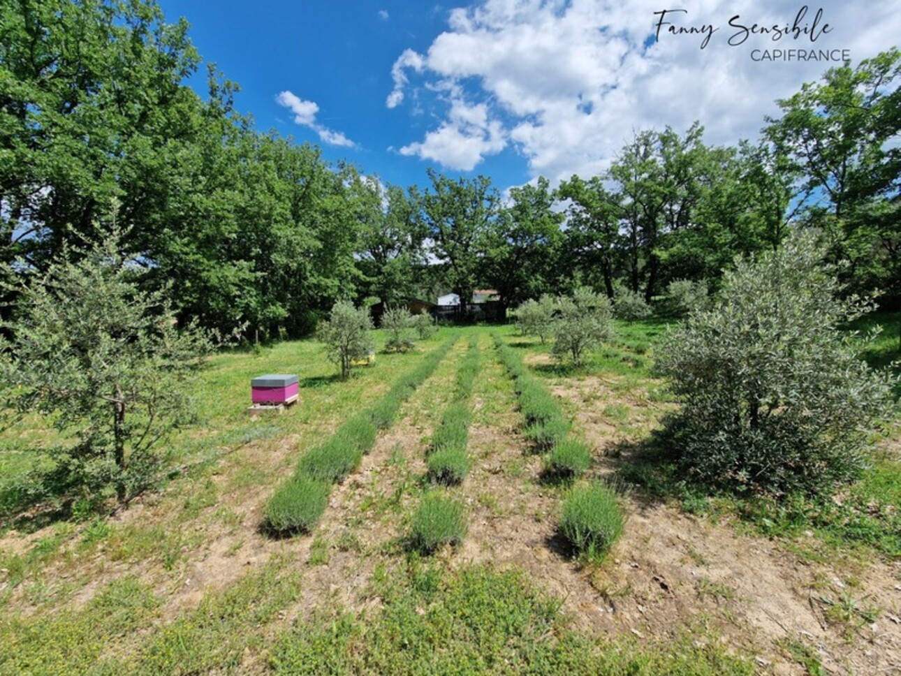 Photos 21 - Prestige - Propriété 5 chambres au grand calme 5500 m2 de terrain